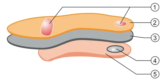 Soft Gel слоеви